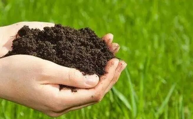 常熟农业种植土壤检测 土壤发芽指数检测
